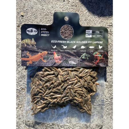 ProBugs Eco-Fresh Black Soldier Fly Larvae