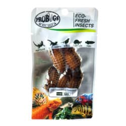 ProBugs Eco-Fresh Dubia Roaches