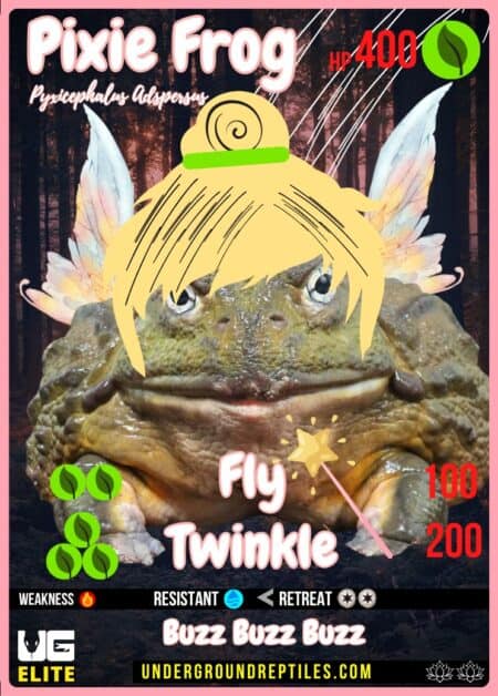 Pixie Frog collectible card for Underground Reptiles June 2024 U.G. MON promotion.