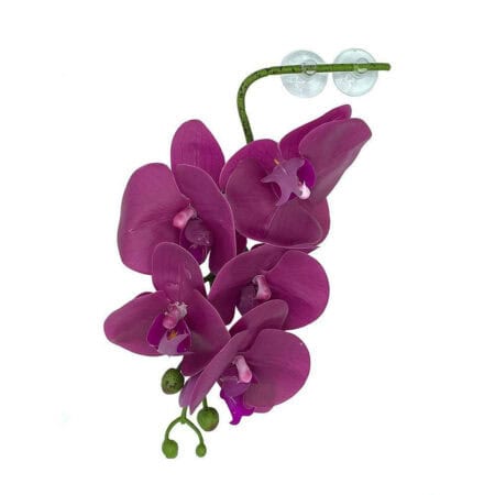 Pink orchid flower with reptile enclosure decor accessory, vibrant and detailed.