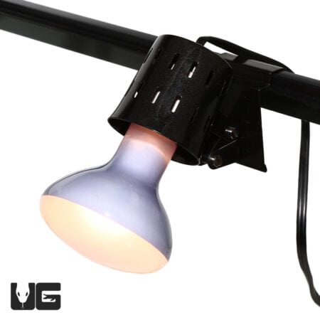 Repti Zoo Wall Mounted Lamp