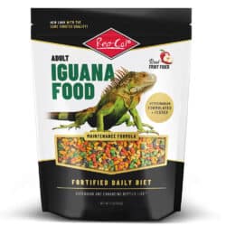 Rep-Cal Adult Formula Iguana Dry Food - 2lb