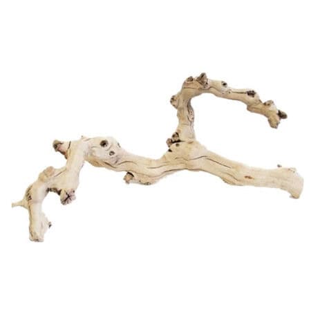 Natural driftwood for reptile terrariums and enclosures.