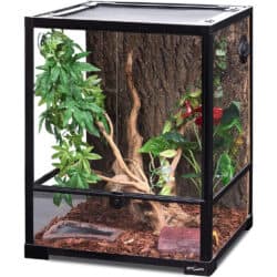 Reptizoo - Reptile Glass Terrarium - 24x18x18 - Black