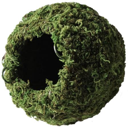 Cannabis bud hollow pipe for smoking, detailed close-up.