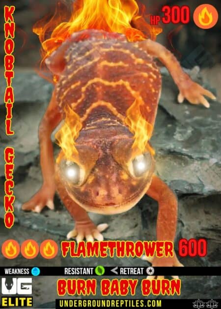 Lizard with fiery effects, representing a flame-themed creature.