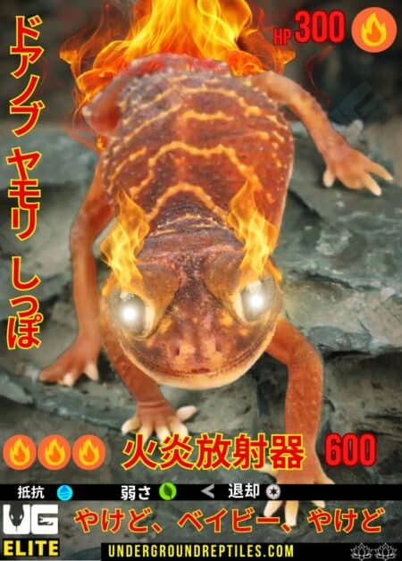 Fire Salamander with fiery effects, detailed design, and Japanese text.