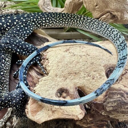 Peach Throat Monitors For Sale - Underground Reptiles