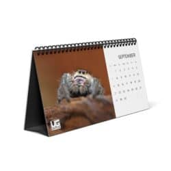 2025 Animal Photo Desk Calendar - Underground Reptiles