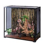Reptile terrarium with naturalistic decor and secure glass enclosure. Perfect habitat for reptiles a.