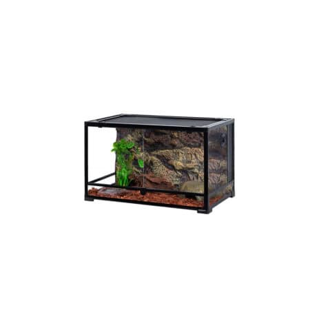 Reptile terrarium featuring a natural rock background and a green plant for habitat enrichment. Perf.