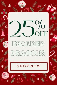 25% Off Bearded Dragons