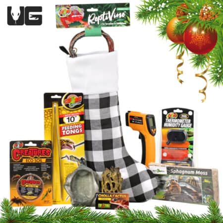 Tropical Swag Supplies Set