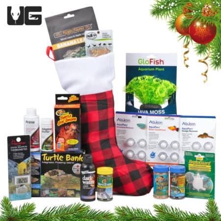 Deluxe Turtle Stocking