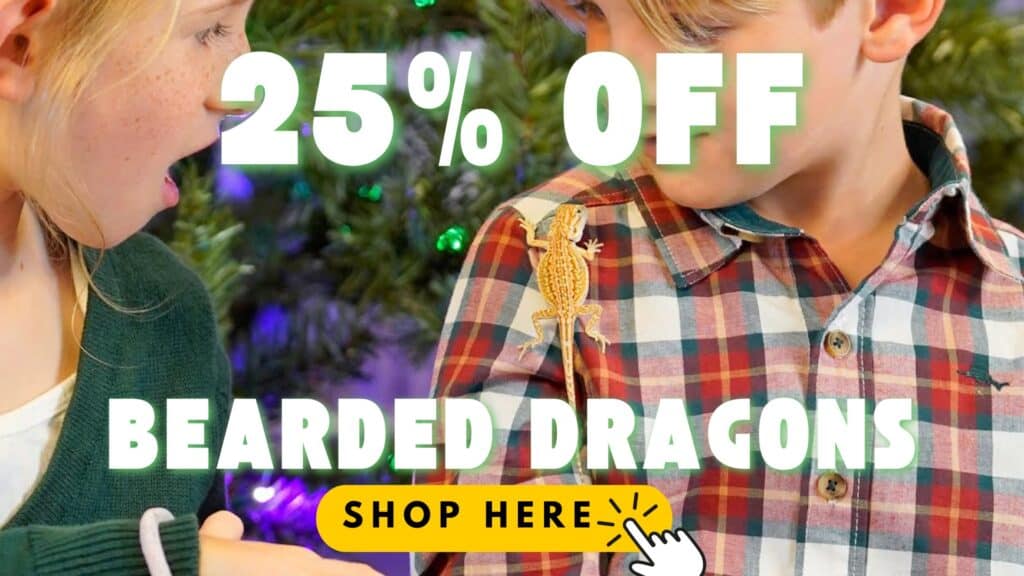 25% Off Bearded Dragons