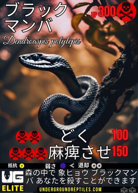 Black Mamba snake with warning symbols and health stats for reptile enthusiasts.