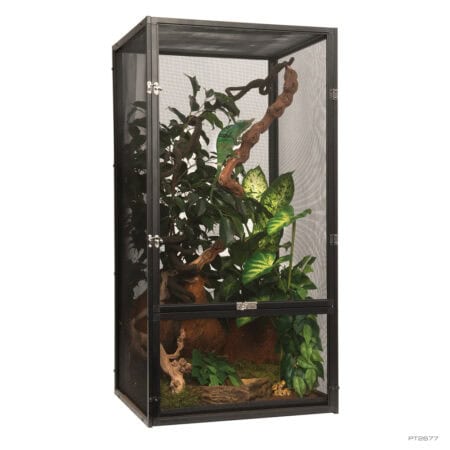 Reptile terrarium with lush plants, branches, and hiding spots for reptiles and amphibians.