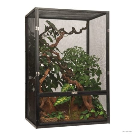 Indoor reptile terrarium with lush plants and climbing branches for reptiles and amphibians.