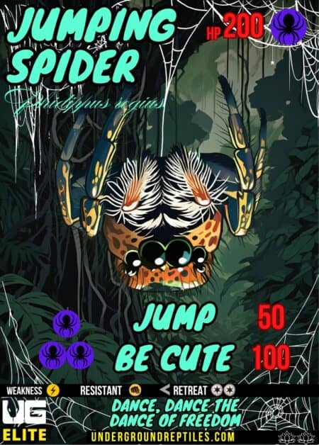 UG Elite U.G. Mon Card - December 2024