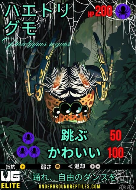 UG Elite U.G. Mon Card - December 2024