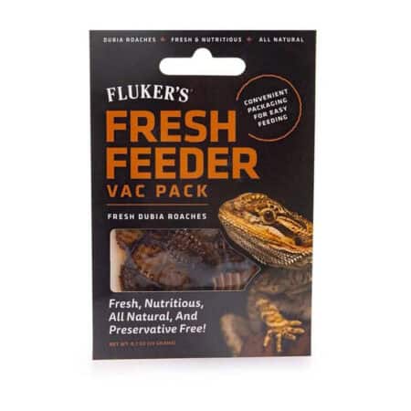 Reptile feeder insect pack with vacuum-sealed packaging for freshness. Ideal for snakes, lizards, an.