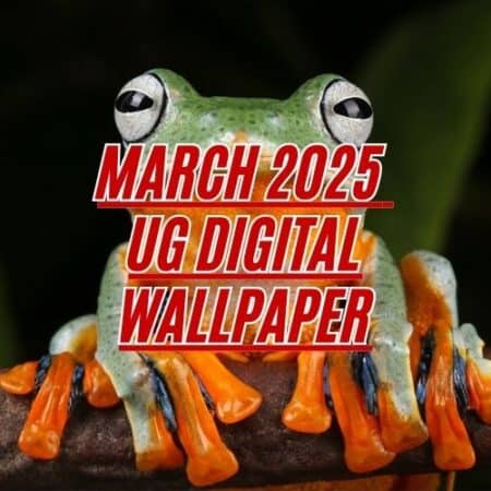 Close-up of a vibrant mangrove snake with striking green and orange colors.