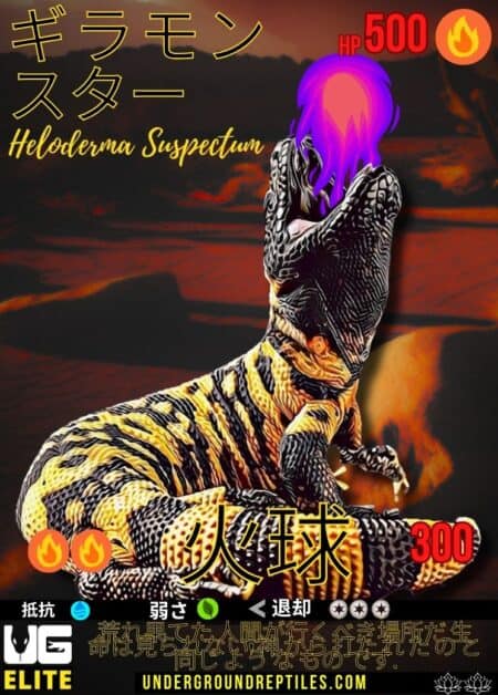 U.G. Mon - January 2025