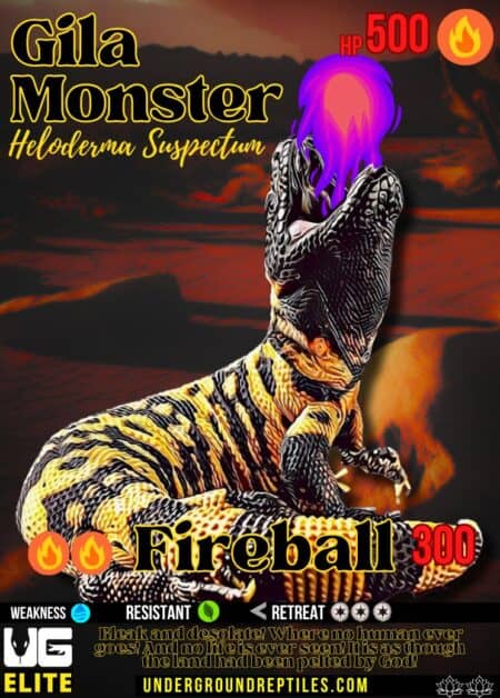 U.G. Mon - January 2025