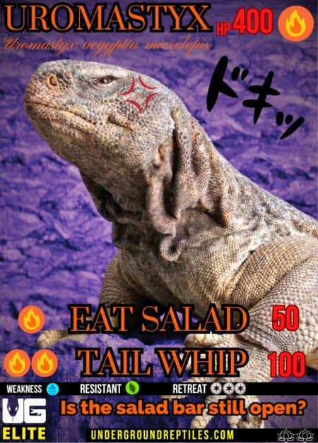 U.G. Mon Card - February 2025