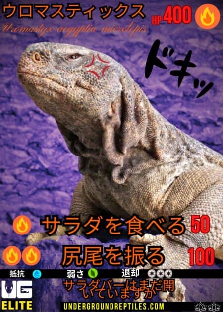 U.G. Mon Card - February 2025