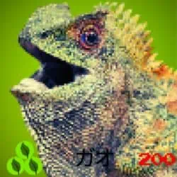 U.G. Mon Card March 2025