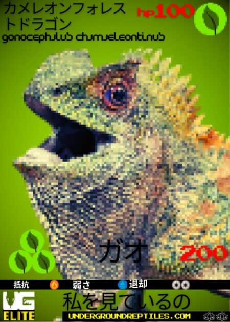 U.G. Mon Card March 2025