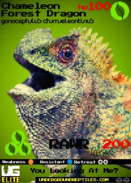 U.G. Mon Card March 2025