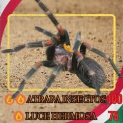 April 2025 UGmon Card
