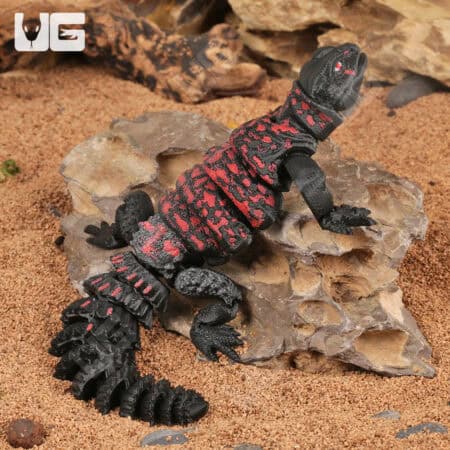 Detailed 3D model of a small Uromastyx lizard for reptile enthusiasts.