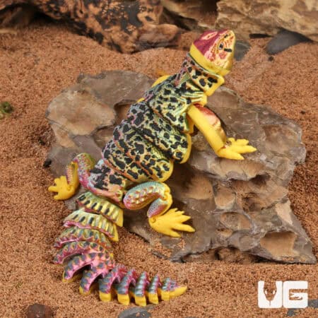 3D Printed Reptiles & Inverts – A New Dimension of Nature’s Wonders!