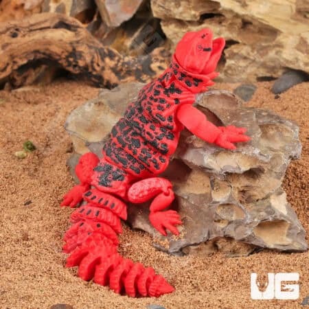 3D Printed Reptiles & Inverts – A New Dimension of Nature’s Wonders!