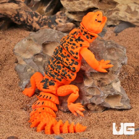 3D Printed Reptiles & Inverts – A New Dimension of Nature’s Wonders!
