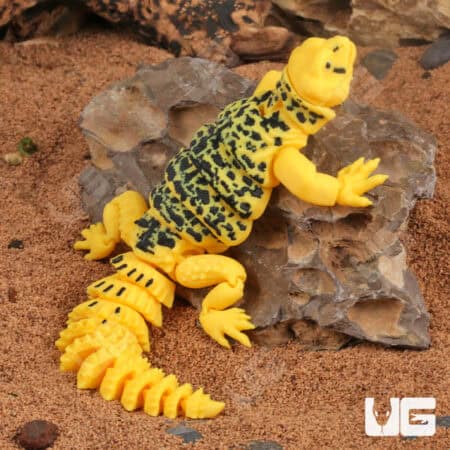 3D Printed Reptiles & Inverts – A New Dimension of Nature’s Wonders!