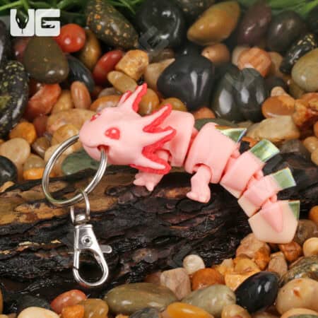 Cute 3D axolotl keychain with vibrant pink color and detailed design, perfect for reptile and amphib.