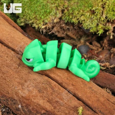 3D Printed Reptiles & Inverts – A New Dimension of Nature’s Wonders!