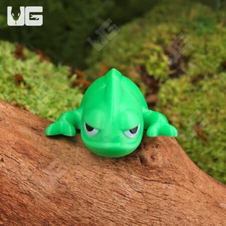 3D Printed Reptiles & Inverts – A New Dimension of Nature’s Wonders!