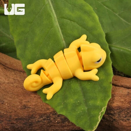 3D Printed Reptiles & Inverts – A New Dimension of Nature’s Wonders!