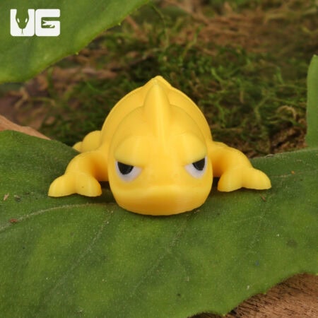 3D Printed Reptiles & Inverts – A New Dimension of Nature’s Wonders!