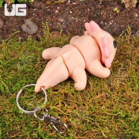 3D Printed Reptiles & Inverts – A New Dimension of Nature’s Wonders!