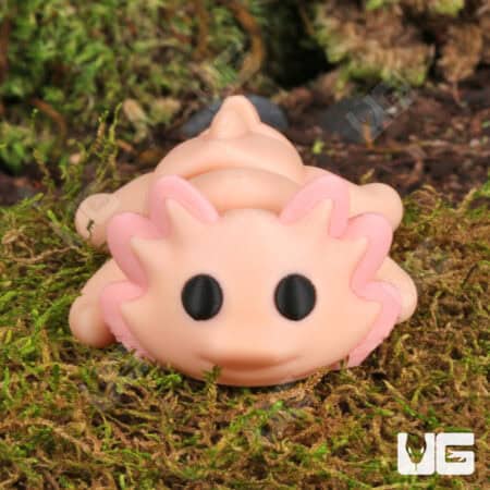 3D Printed Reptiles & Inverts – A New Dimension of Nature’s Wonders!