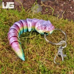 3D Printed Reptiles & Inverts – A New Dimension of Nature’s Wonders!