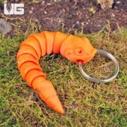 3D Printed Reptiles & Inverts – A New Dimension of Nature’s Wonders!