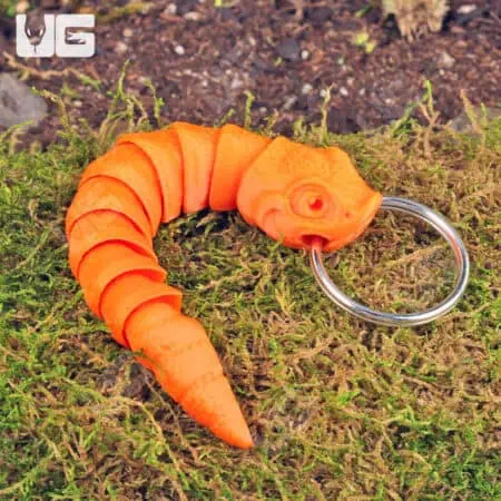 3D Printed Reptiles & Inverts – A New Dimension of Nature’s Wonders!