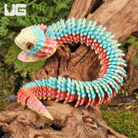 3D Printed Reptiles & Inverts – A New Dimension of Nature’s Wonders!